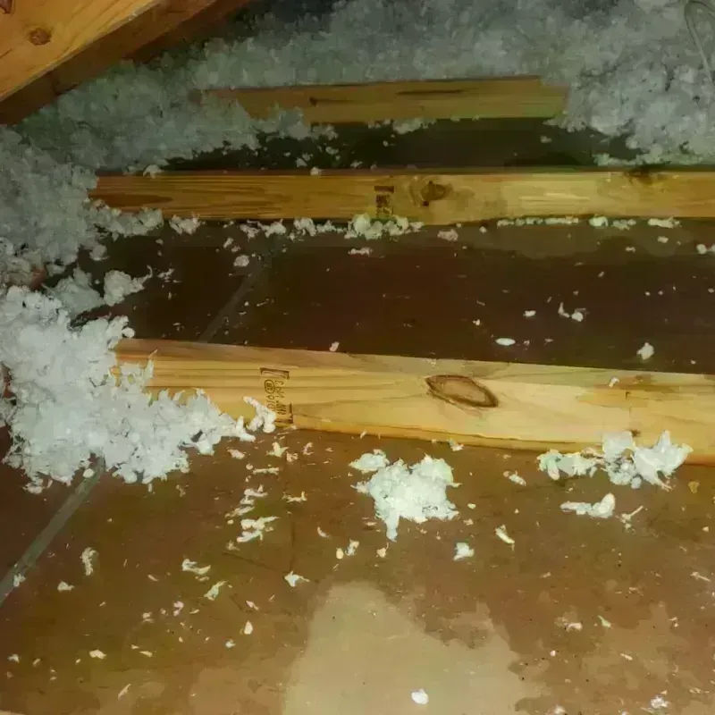 Attic Water Damage in Maunawili, HI